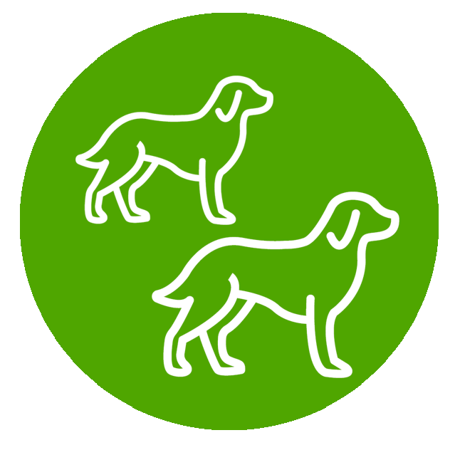 icon-hunde-synopet