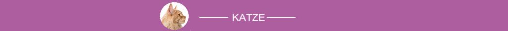 banner-beitrag-katze