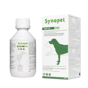 Cani-Syn-hunde-gelenke-und-knorpel