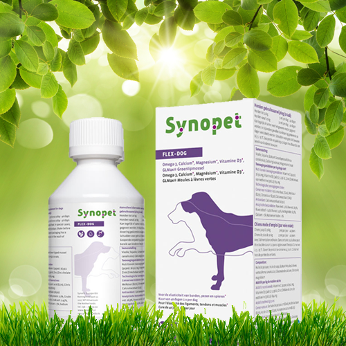 Flex-Dog voor pezen & spieren