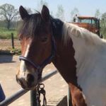 Volg ons op facebook