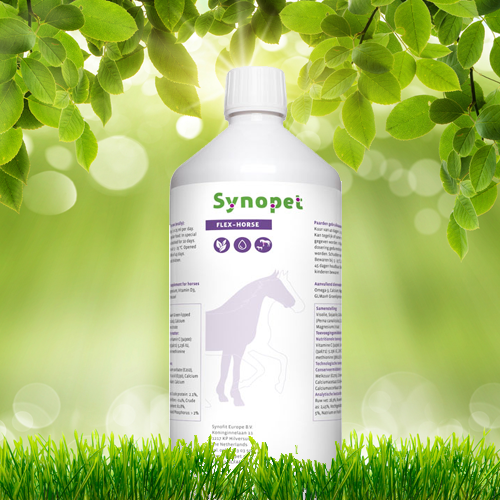 Flex-Horse voor pezen & spieren