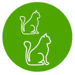 icon-katze-synopet
